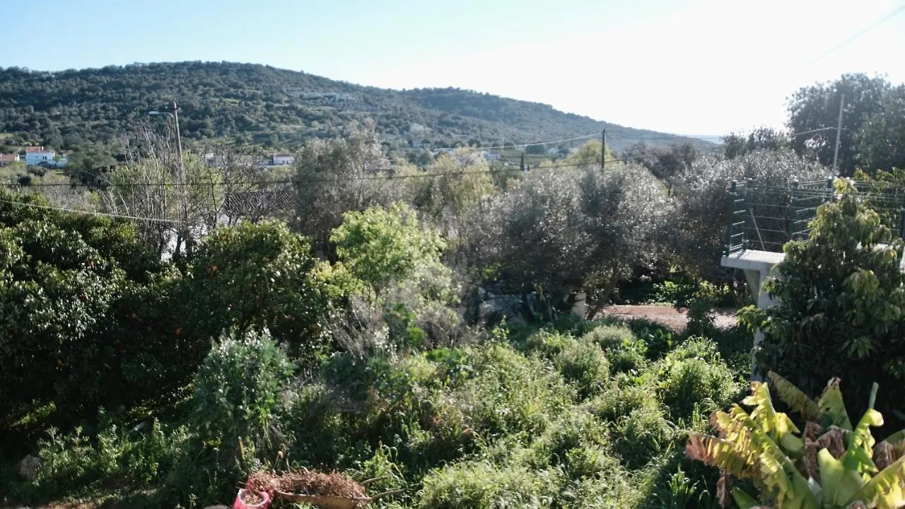 Ferienhaus Villa Casa Pedra Sao Romao São Brás de Alportel
